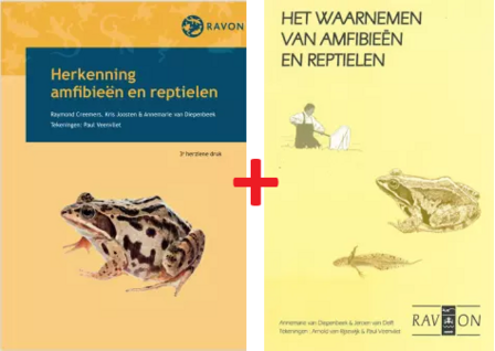 Veldgids Herkenning amfibie&euml;n en reptielen met GRATIS veldgids Het Waarnemen van Amfibie&euml;n en reptielen