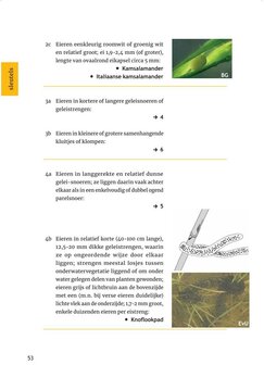 Herkenning amfibie&euml;n en reptielen