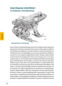 Herkenning amfibie&euml;n en reptielen