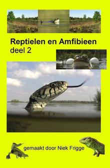 DVD Reptielen en amfibie&euml;n Deel 2