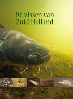 De vissen van Zuid-Holland