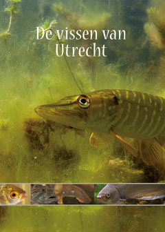 De vissen van Utrecht