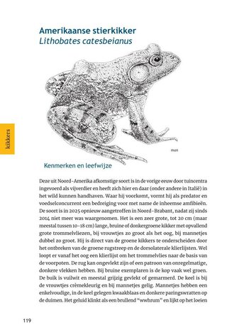 Herkenning amfibie&euml;n en reptielen