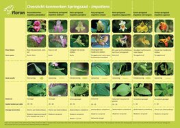 FLORON Zoekkaart springzaden
