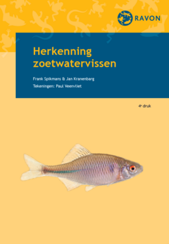 RAVON Veldgids Herkenning zoetwatervissen - nu met gratis veldgids Waarnemen van Zoetwatervissen