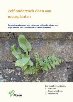 Zelf onderzoek doen aan muurplanten