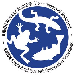 RAVON Raamsticker, autosticker